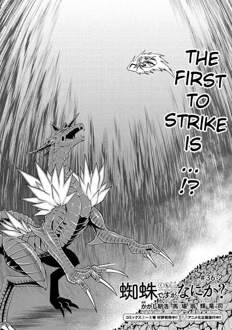 Kumo Desu Ga Nani Ka 36 13