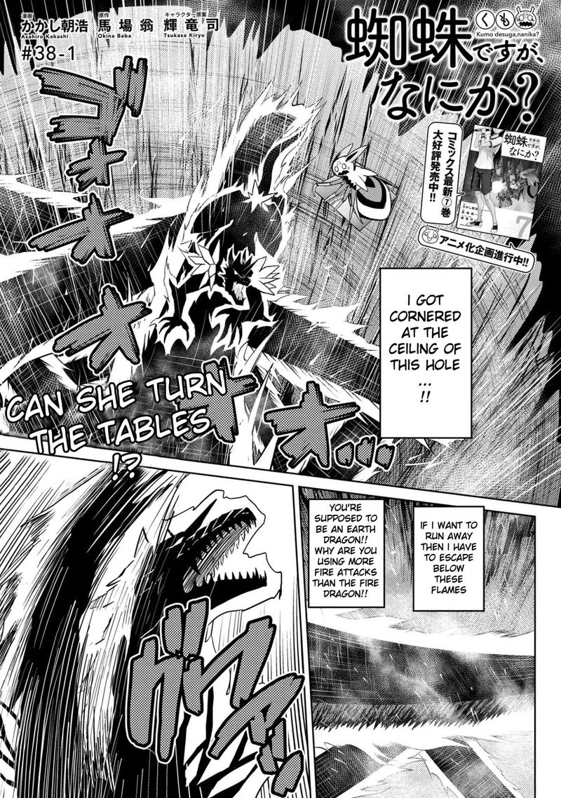 Kumo Desu Ga Nani Ka 38 1
