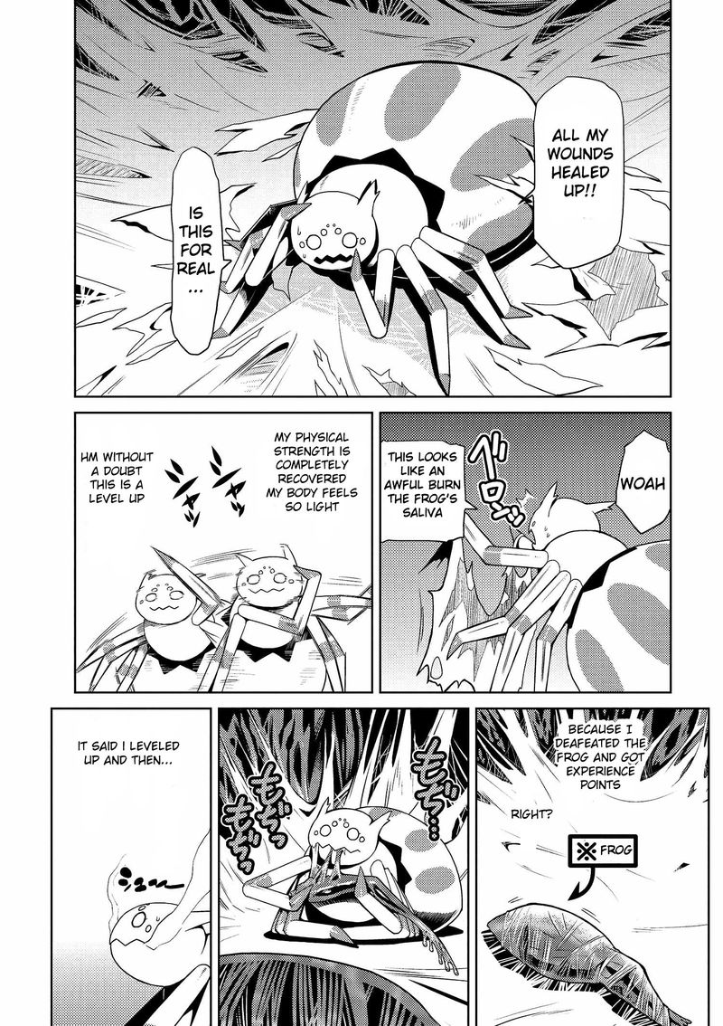 Kumo Desu Ga Nani Ka 4 3