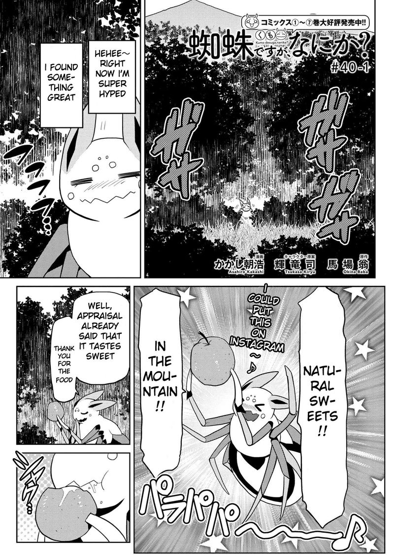 Kumo Desu Ga Nani Ka 40 1