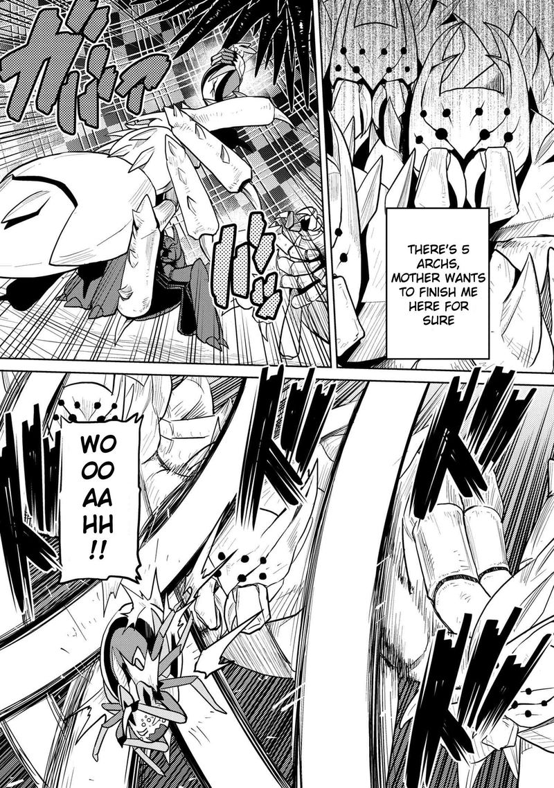 Kumo Desu Ga Nani Ka 40 20