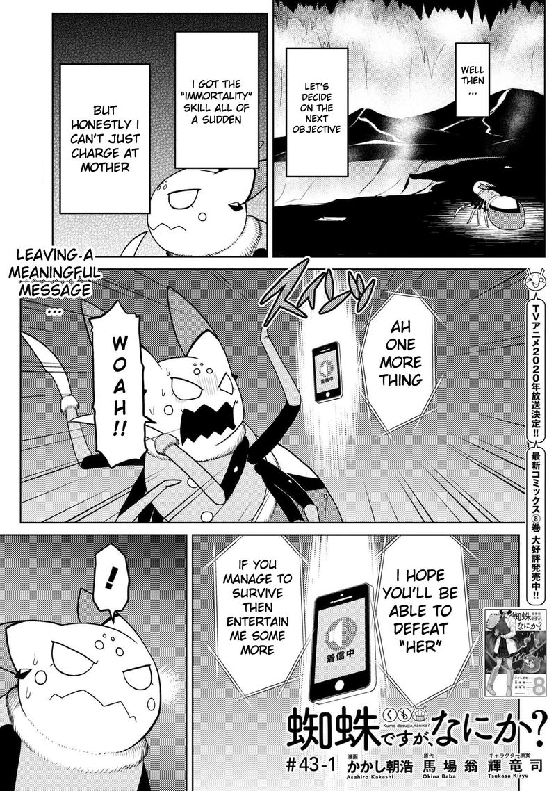 Kumo Desu Ga Nani Ka 43 1