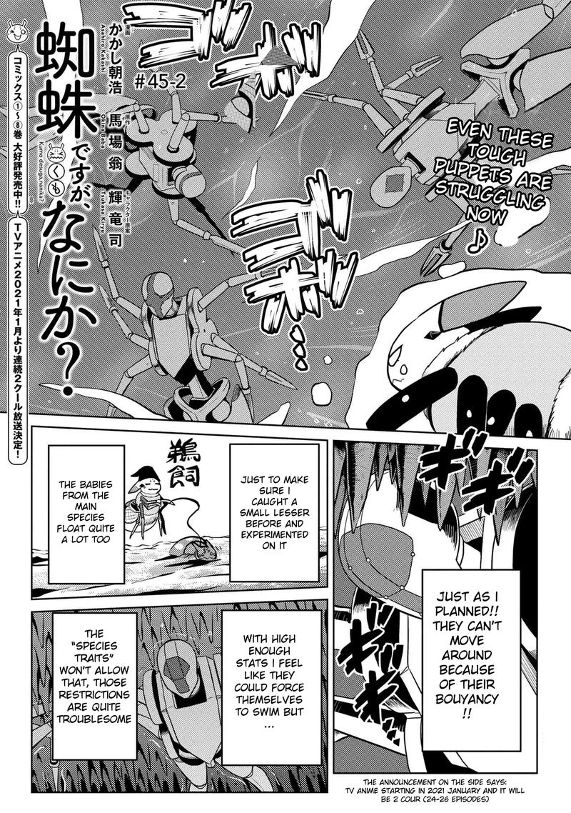 Kumo Desu Ga Nani Ka 45 17