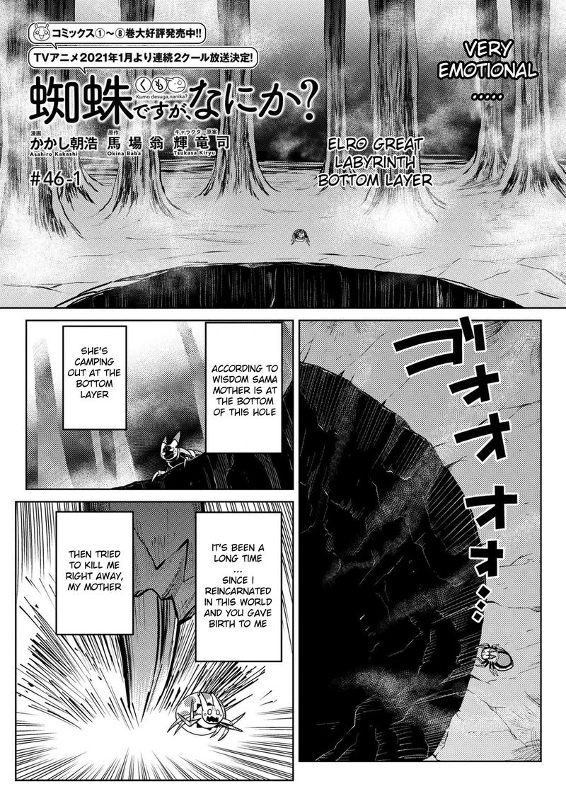 Kumo Desu Ga Nani Ka 46 1