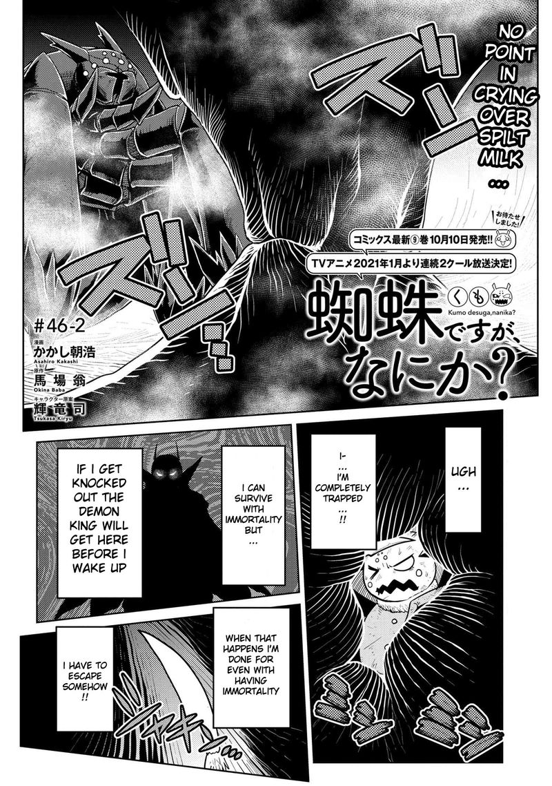 Kumo Desu Ga Nani Ka 46 17