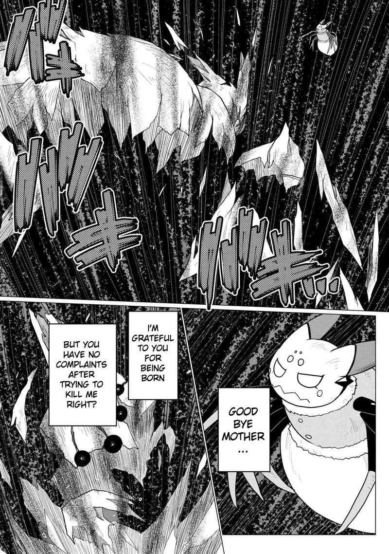 Kumo Desu Ga Nani Ka 47 18