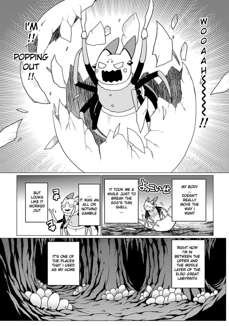 Kumo Desu Ga Nani Ka 51 27
