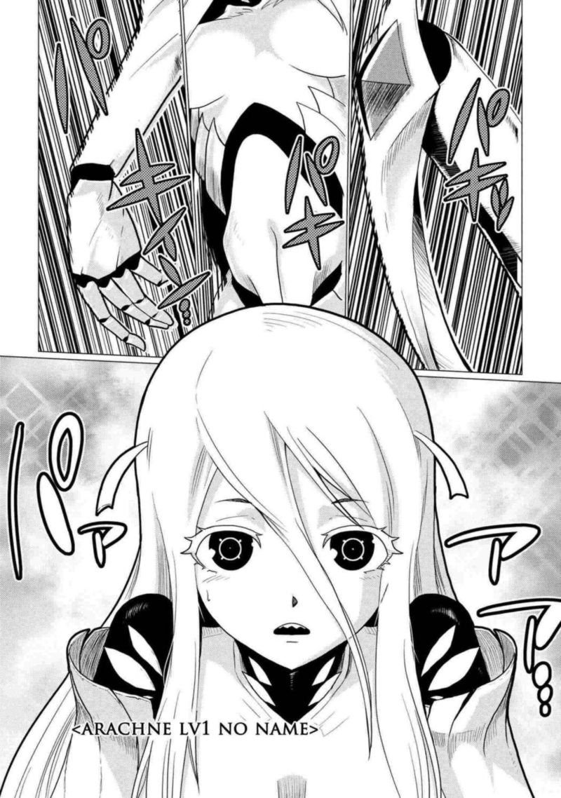 Kumo Desu Ga Nani Ka 52 5