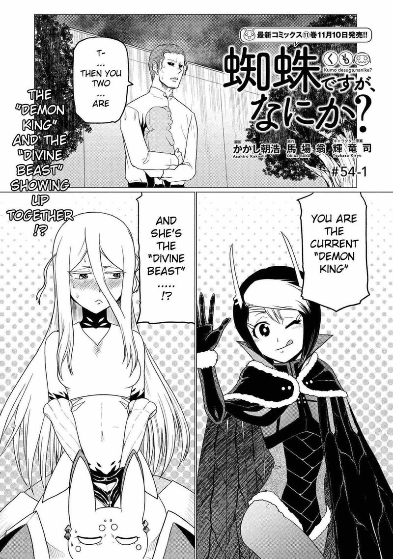 Kumo Desu Ga Nani Ka 54 1