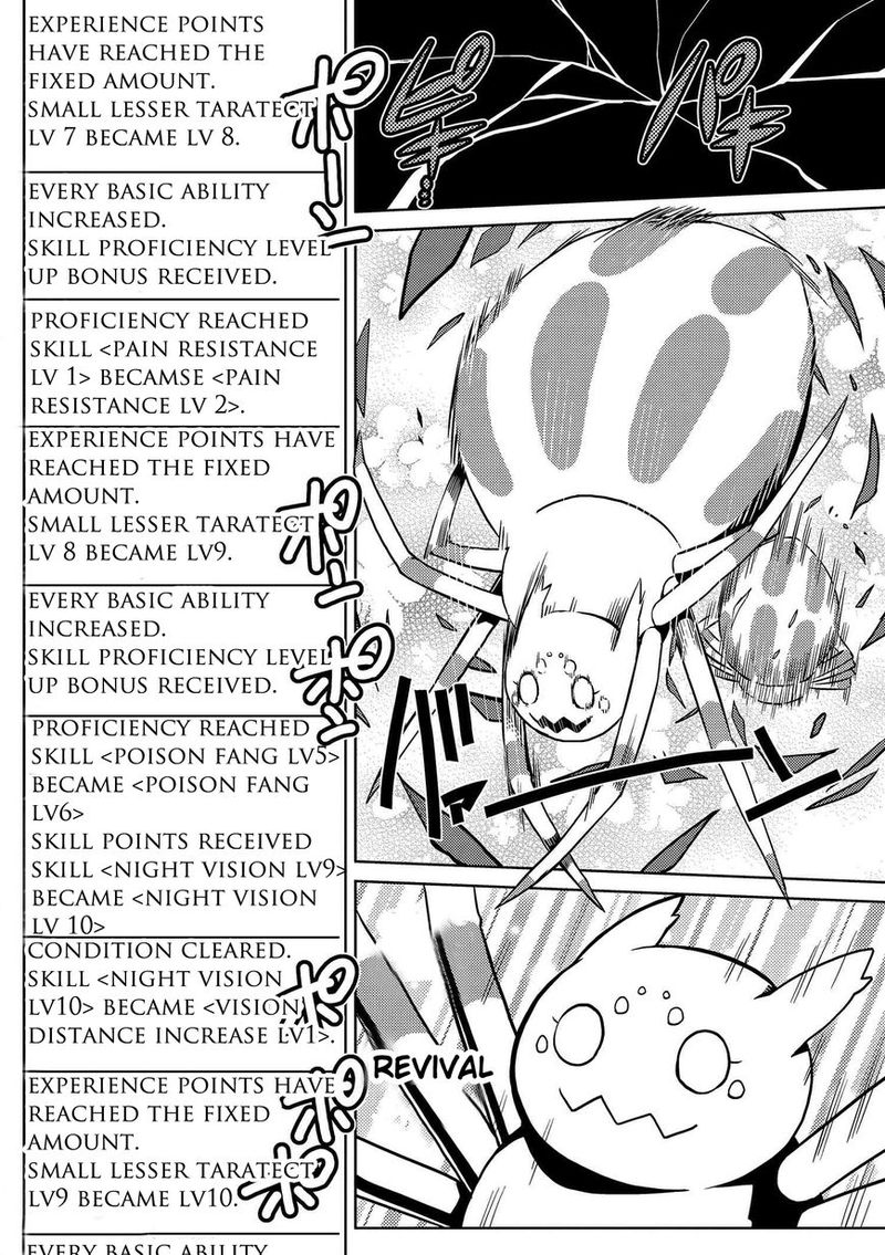 Kumo Desu Ga Nani Ka 6 14