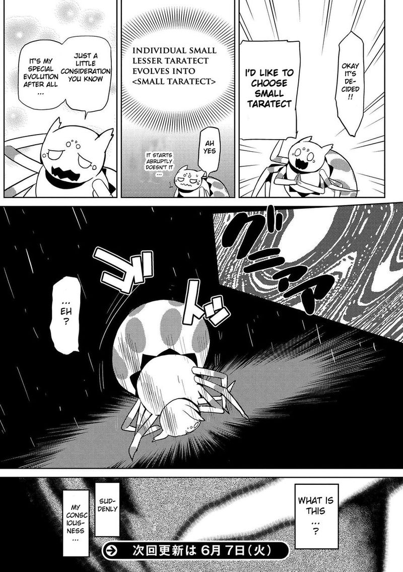 Kumo Desu Ga Nani Ka 6 18