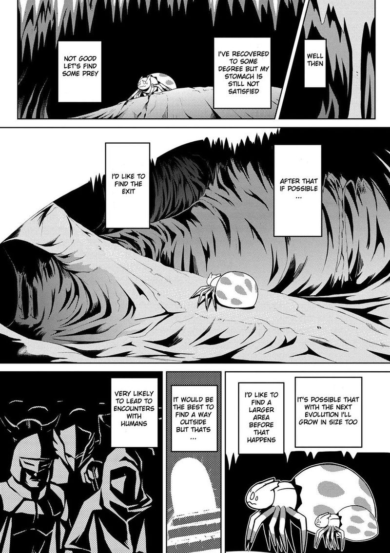 Kumo Desu Ga Nani Ka 6 23