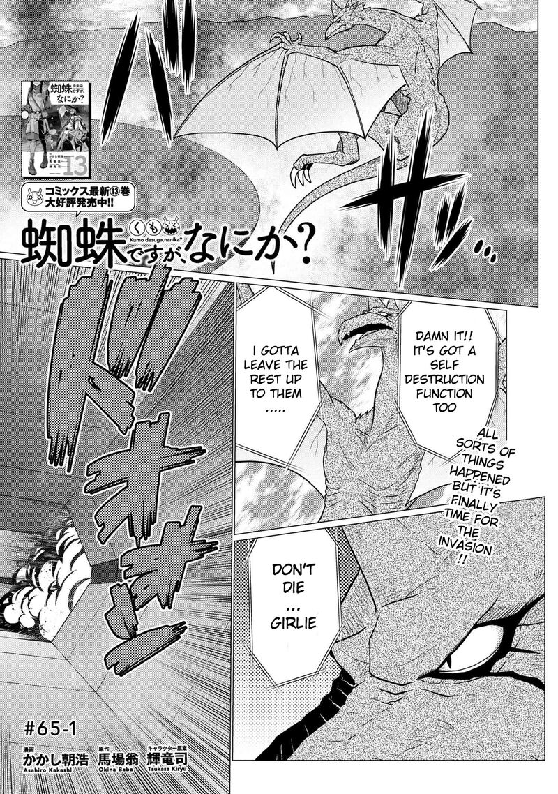 Kumo Desu Ga Nani Ka 65a 1