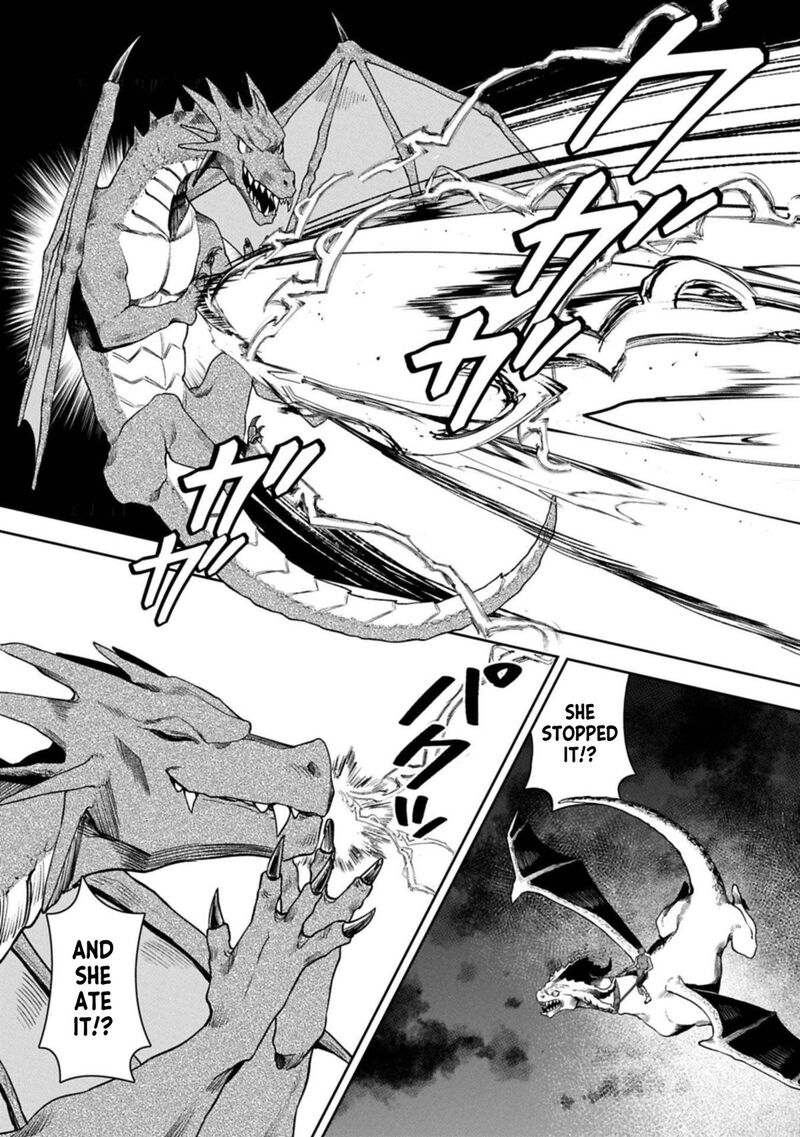 Kuni Ni Saikyou No Barrier Wo Hattara Heiwa Ni Narisugite Tsuihou Saremashita Sono Barrier Eizoku Janai Yo 17 12