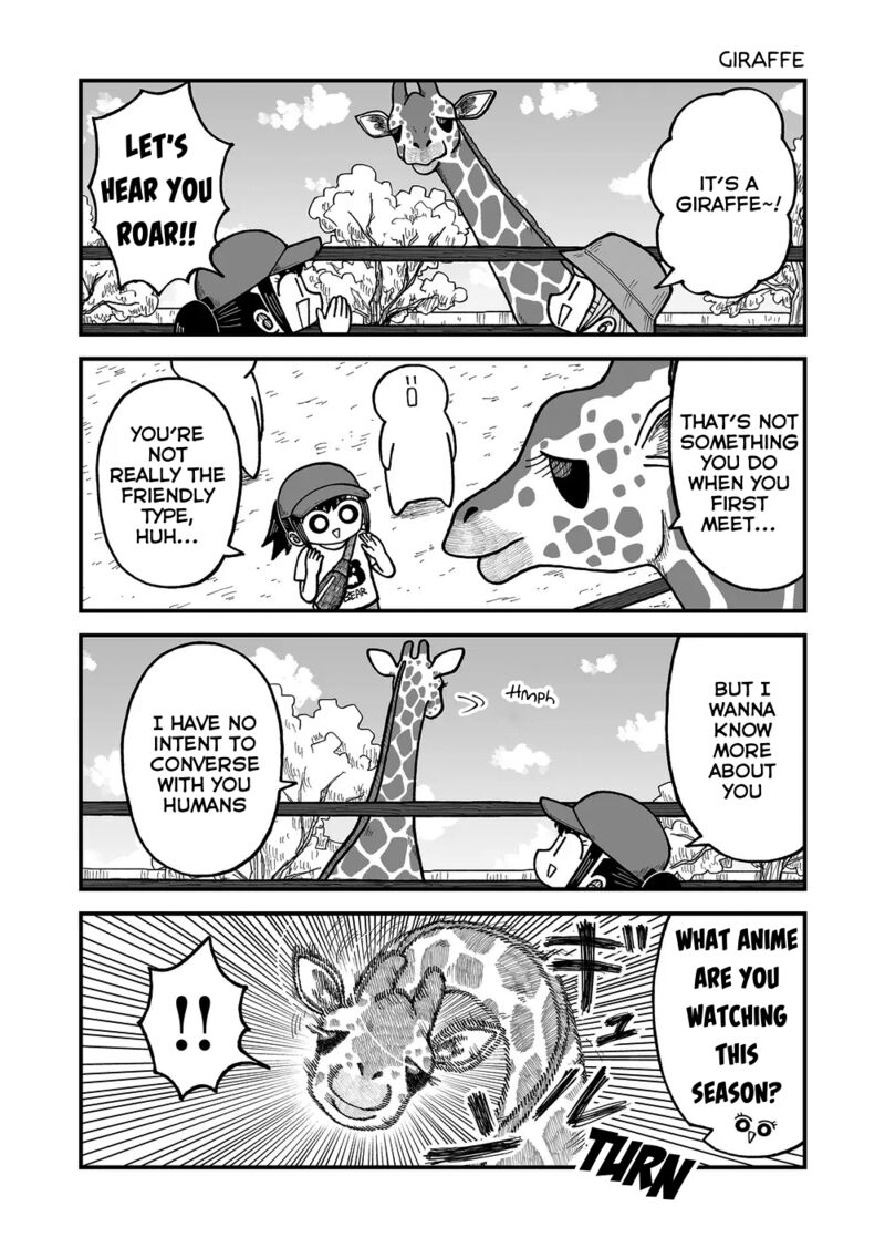 Kyatapi Land 31 2