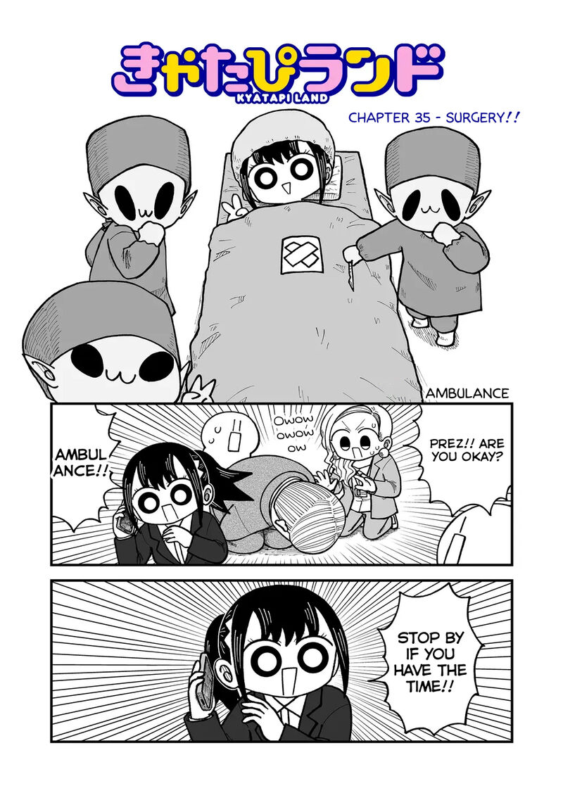 Kyatapi Land 35 1