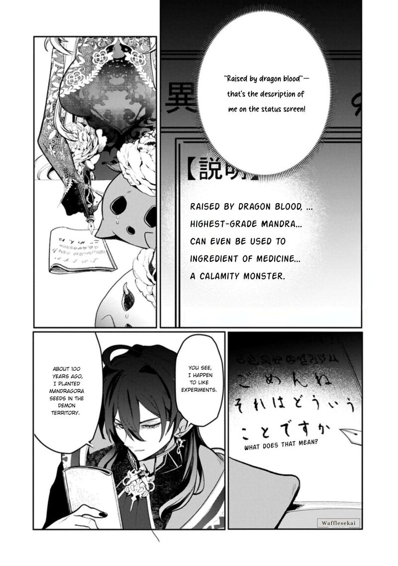 Mandragora Tte Baretara Toubatsu Desu Ka Hana No Majo No Hohoemi Wa Kanchigai No Tane O Maku 10b 10