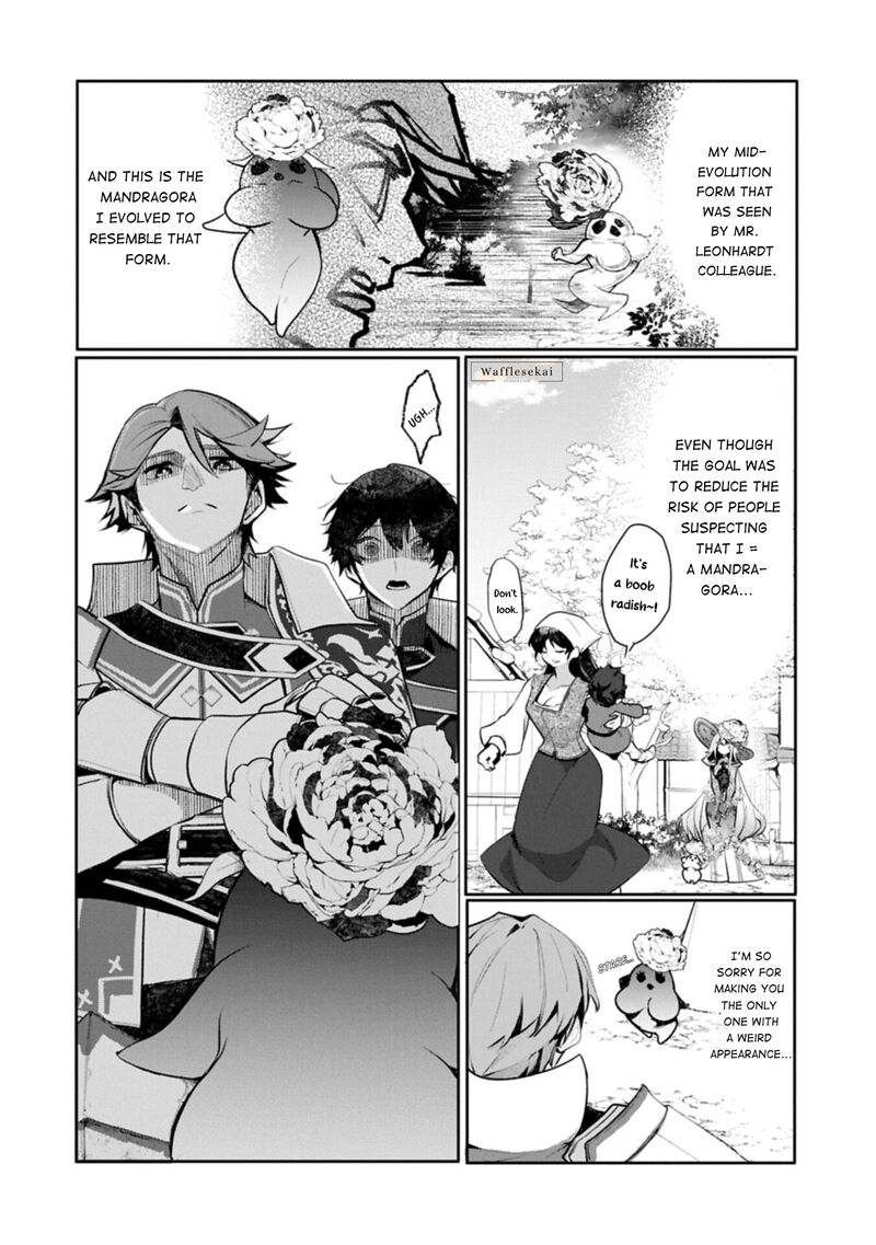 Mandragora Tte Baretara Toubatsu Desu Ka Hana No Majo No Hohoemi Wa Kanchigai No Tane O Maku 8a 13