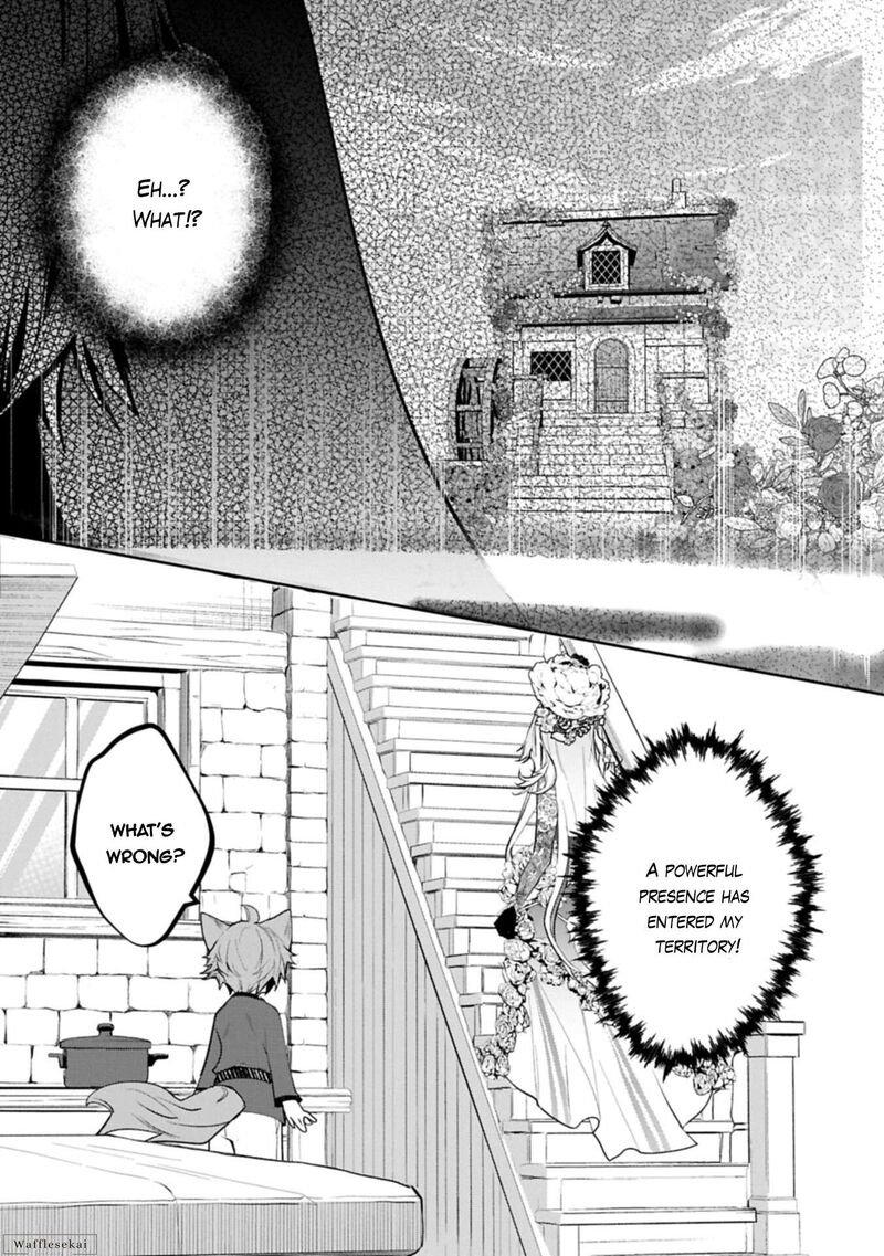 Mandragora Tte Baretara Toubatsu Desu Ka Hana No Majo No Hohoemi Wa Kanchigai No Tane O Maku 9b 14