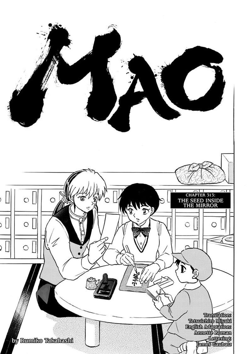 Mao 313 2