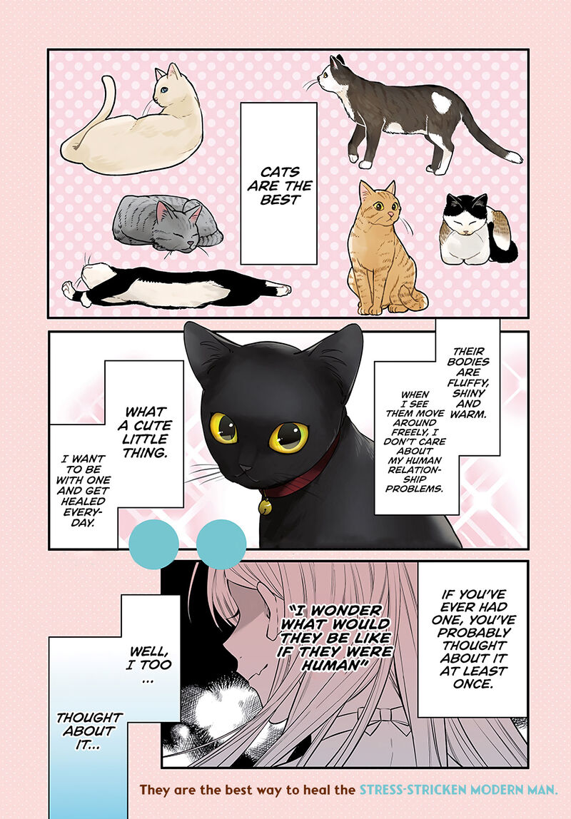 Mi Chan Wa Kawaretai 1 1