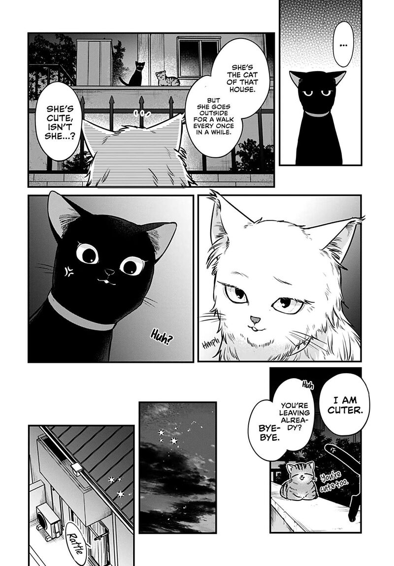 Mi Chan Wa Kawaretai 5 6