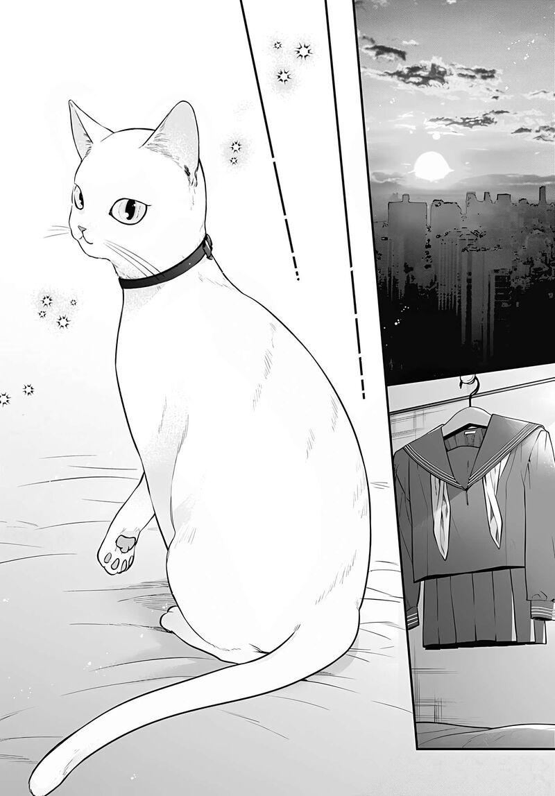 Mi Chan Wa Kawaretai 8 28