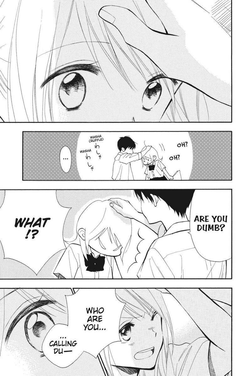 Mint Chocolate 63 21