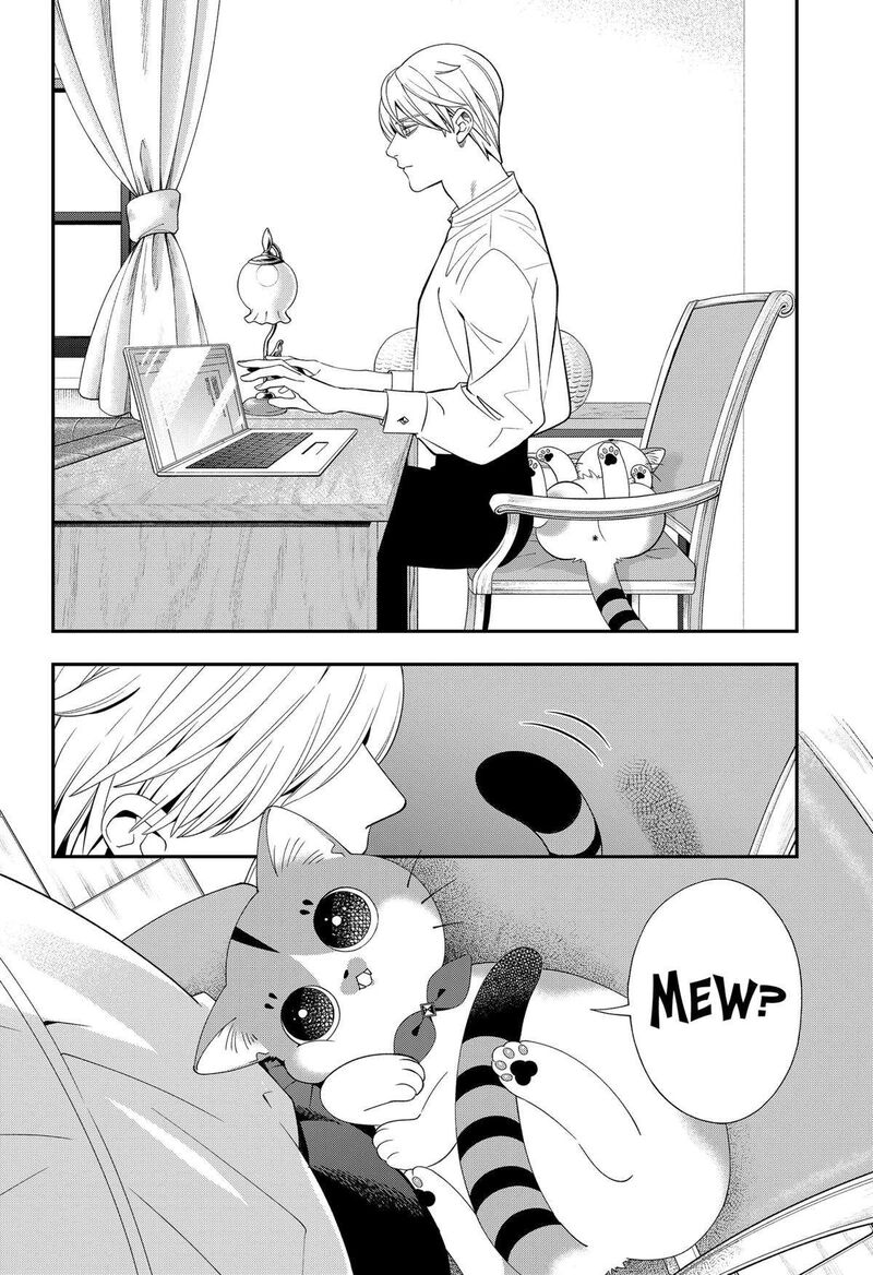 Miyaou Tarou Ga Neko Wo Kau Nante 11 10
