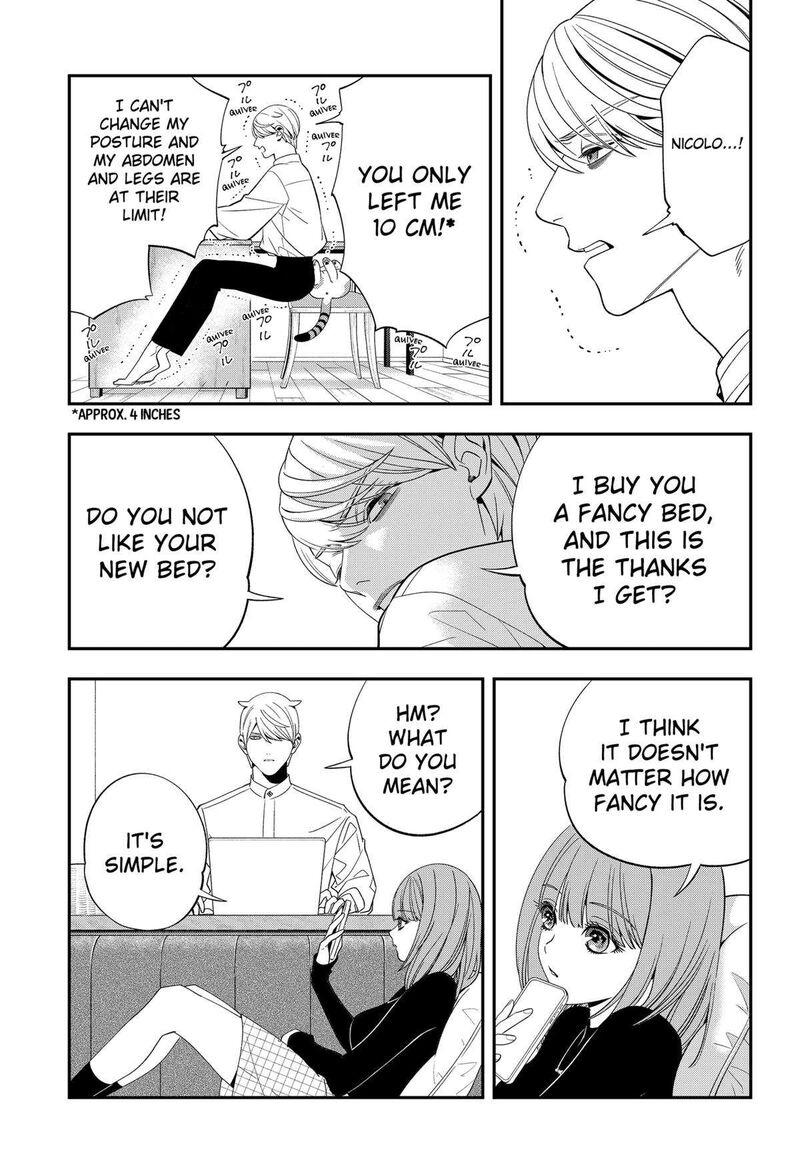 Miyaou Tarou Ga Neko Wo Kau Nante 11 11