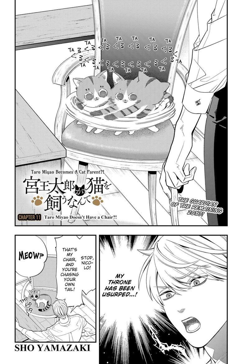 Miyaou Tarou Ga Neko Wo Kau Nante 11 2