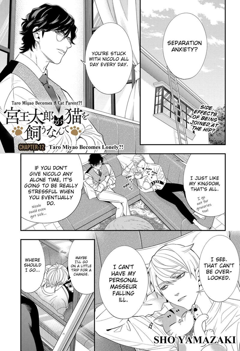 Miyaou Tarou Ga Neko Wo Kau Nante 12 1