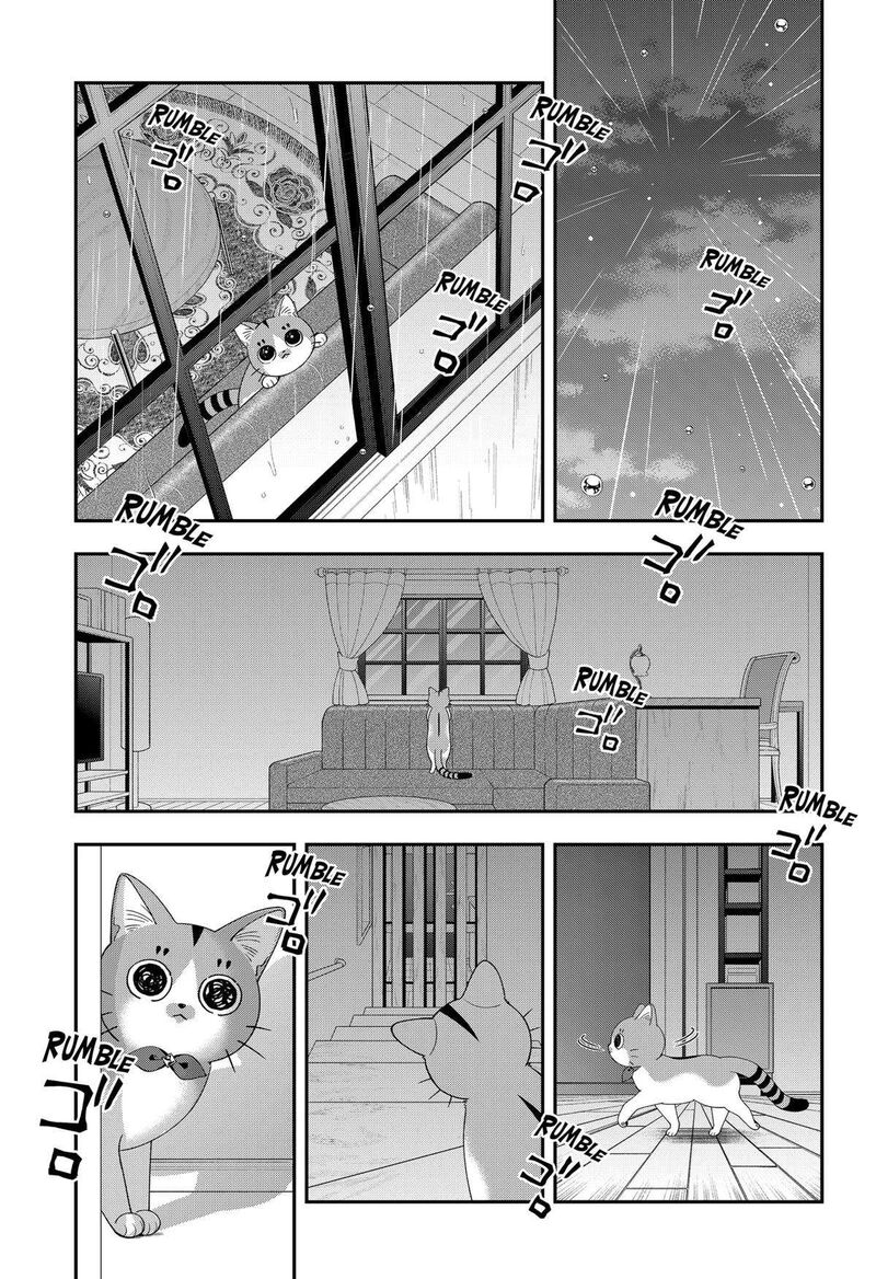 Miyaou Tarou Ga Neko Wo Kau Nante 12 11