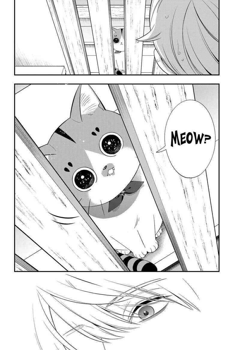 Miyaou Tarou Ga Neko Wo Kau Nante 12 18