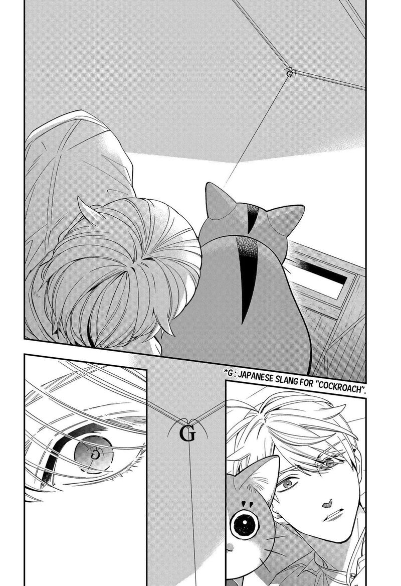 Miyaou Tarou Ga Neko Wo Kau Nante 13 4