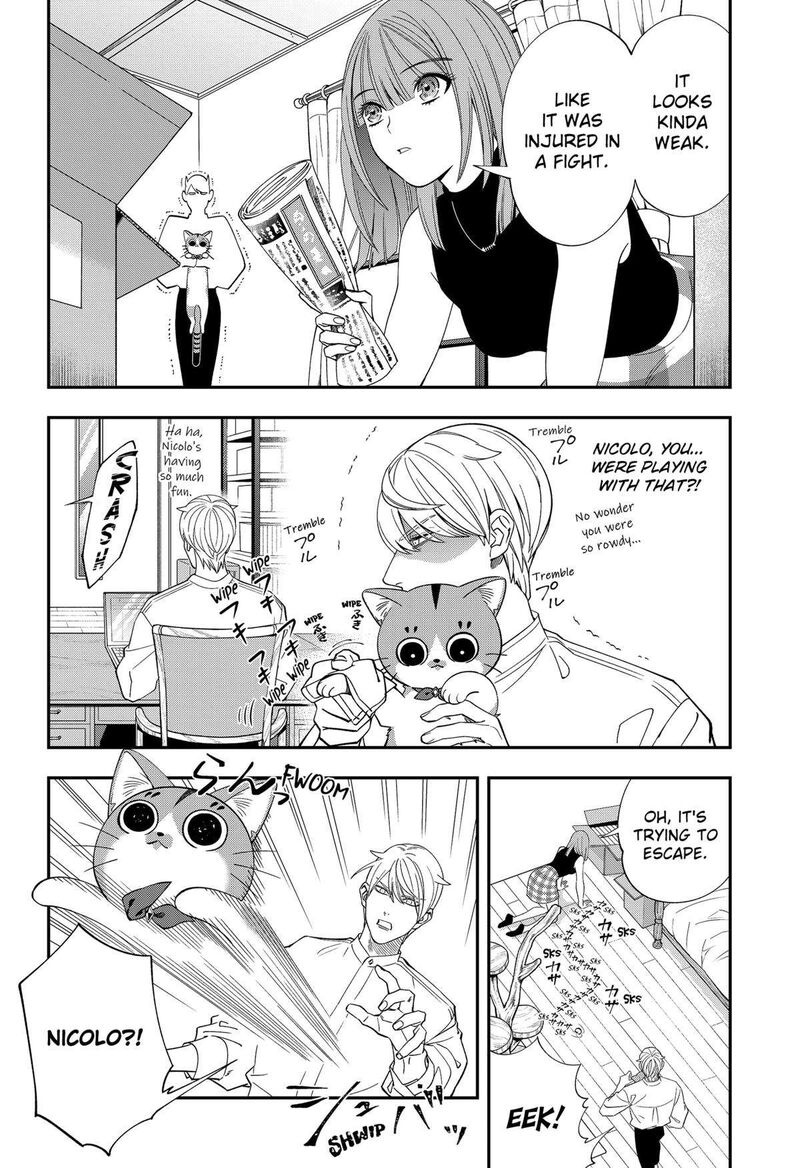 Miyaou Tarou Ga Neko Wo Kau Nante 13 8