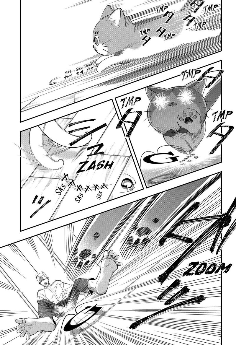 Miyaou Tarou Ga Neko Wo Kau Nante 13 9