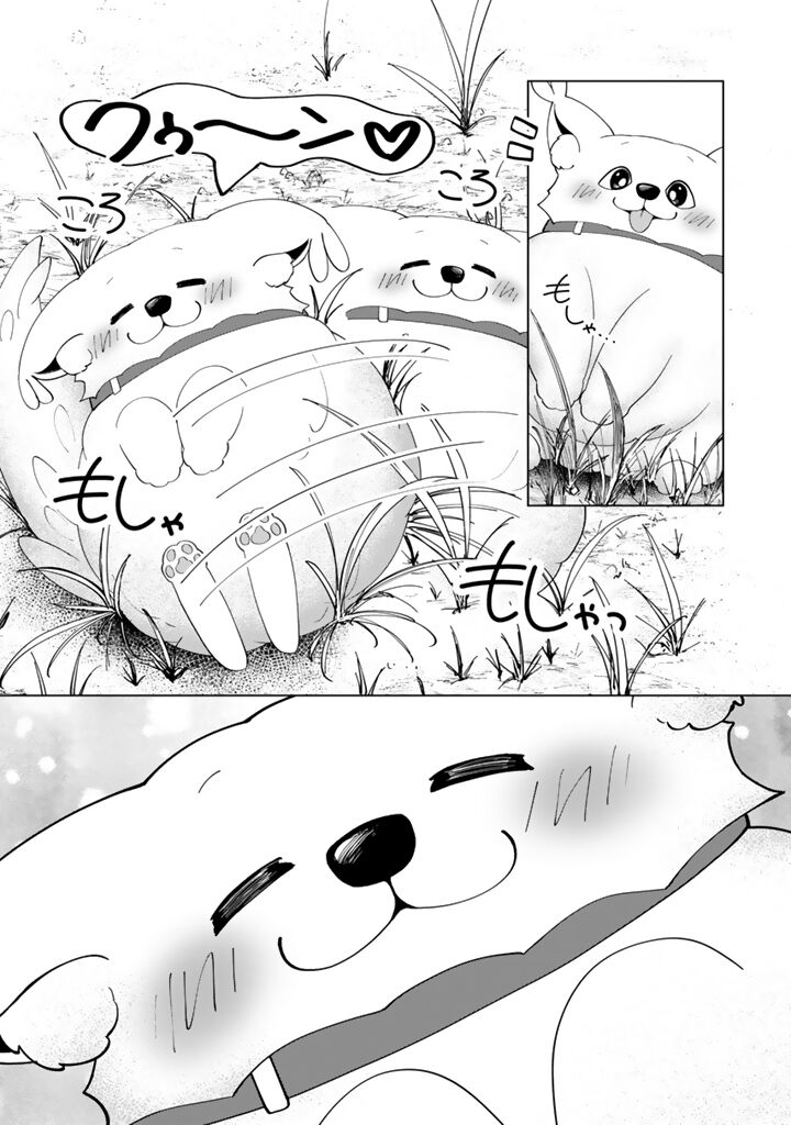 Mofumofu To Isekai Bouken Meshi 7b 4