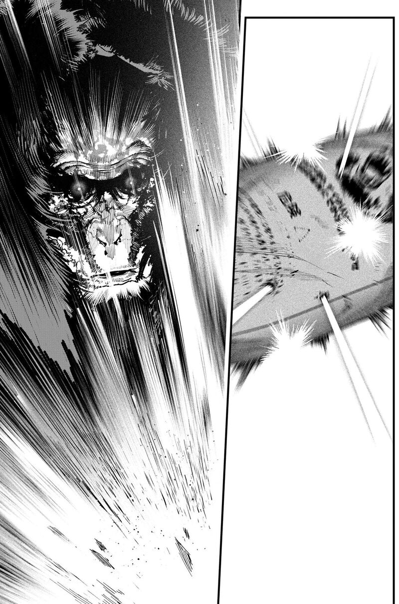 Monkey Hunting 10 17