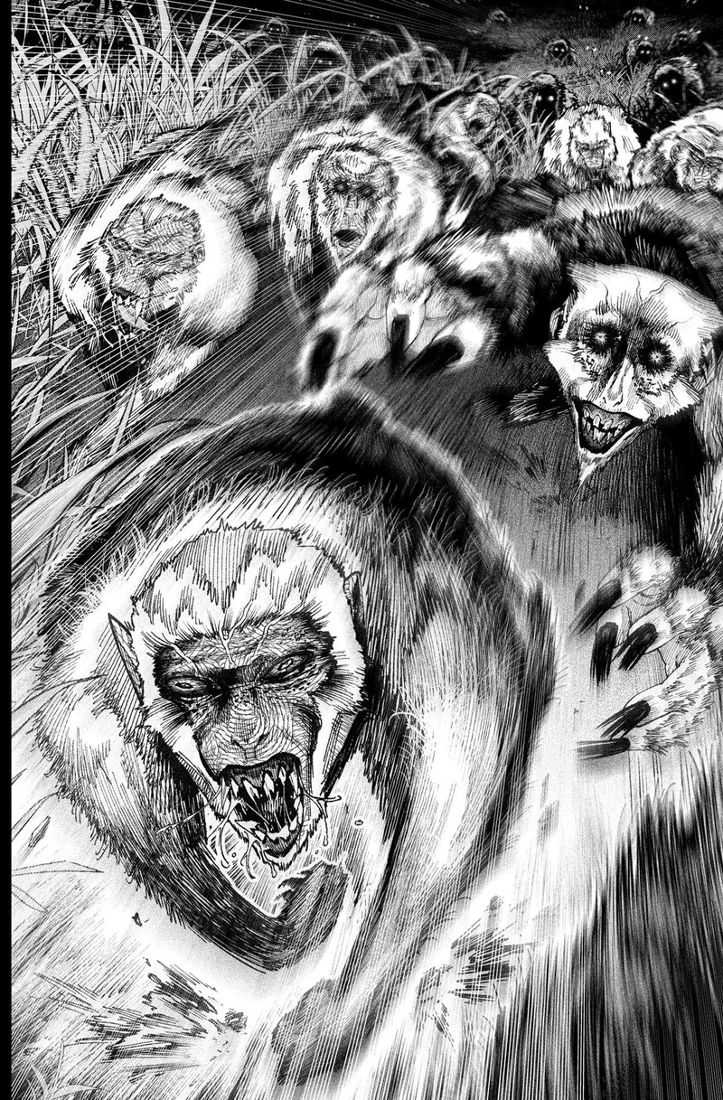 Monkey Hunting 6 14