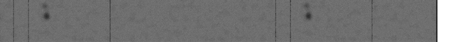 Monster Ga Afureru Sekai Ni Natta Node Suki Ni Ikitai To Omoimasu 56c 6