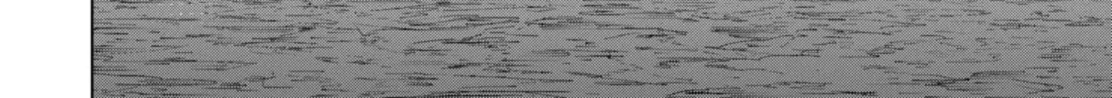 Monster Ga Afureru Sekai Ni Natta Node Suki Ni Ikitai To Omoimasu 60c 28