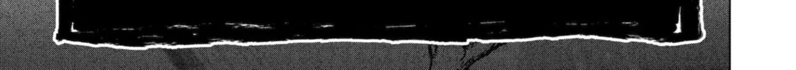 Monster Ga Afureru Sekai Ni Natta Node Suki Ni Ikitai To Omoimasu 62c 4