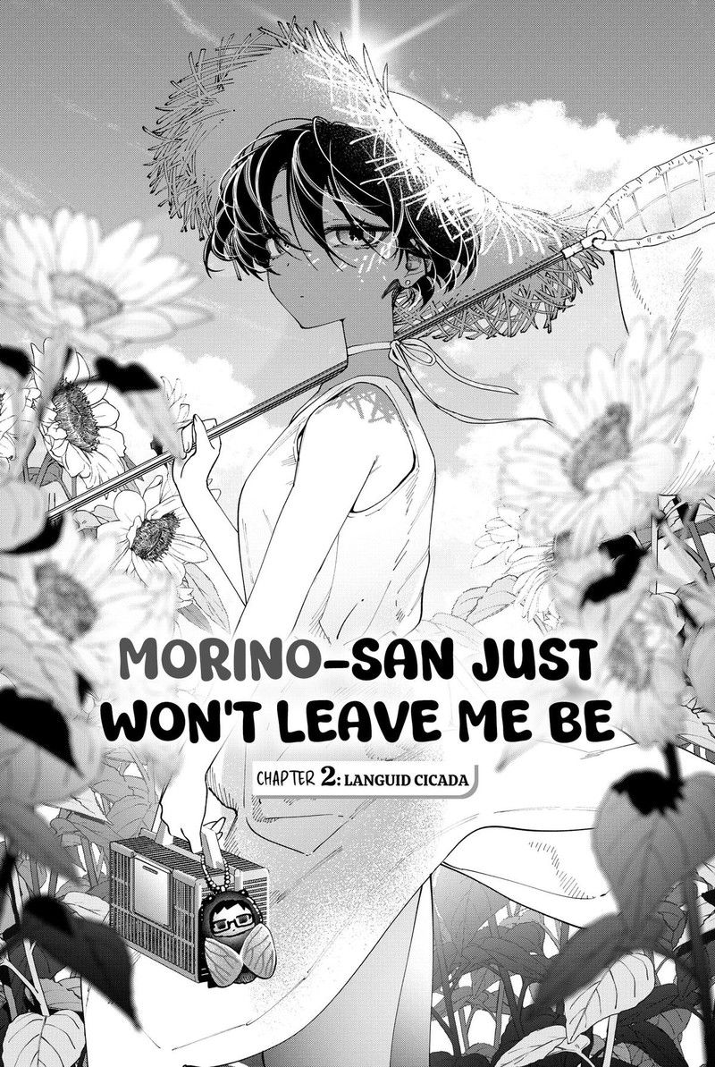 Morino San Darugaramu 2 1