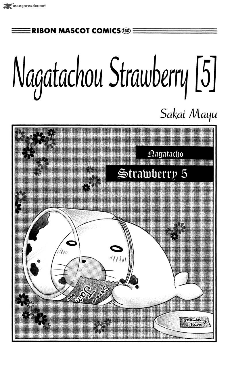 Nagatachou Strawberry 19 4