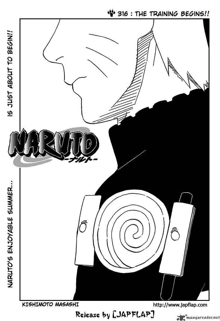 Naruto 316 1