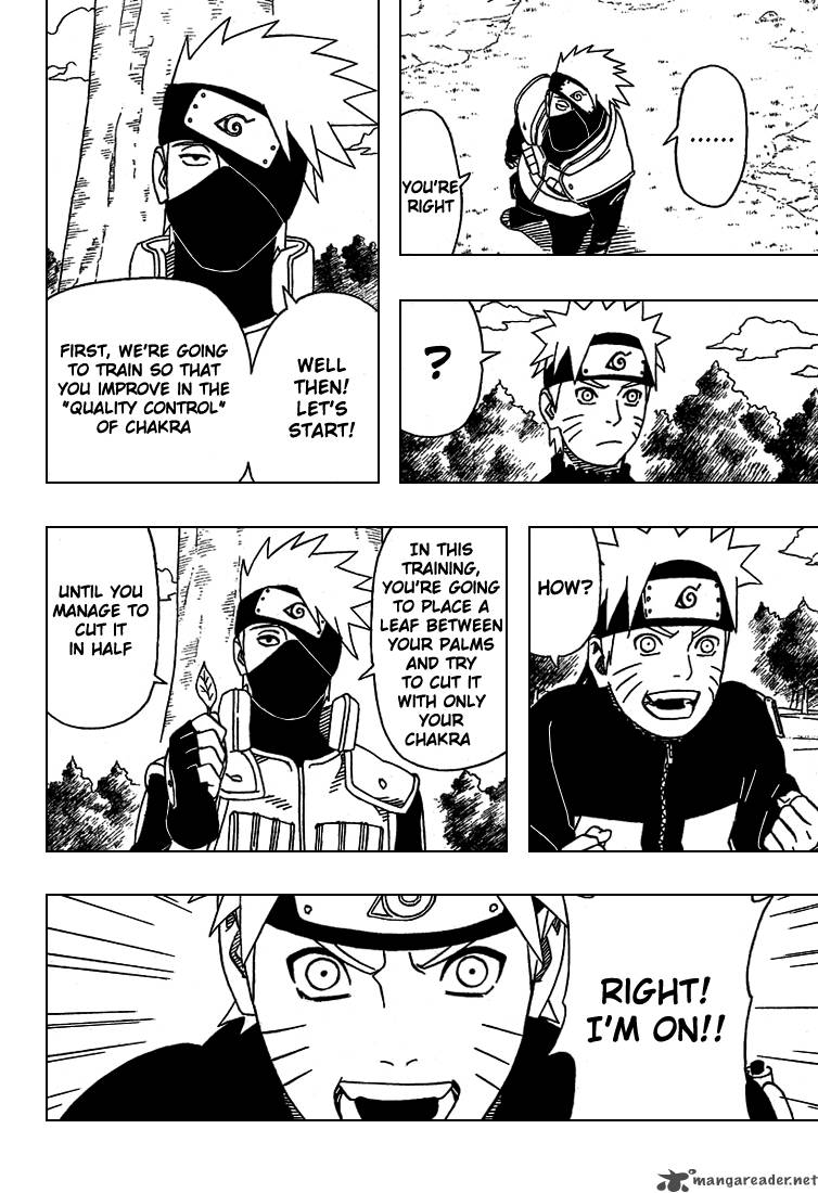 Naruto 316 10