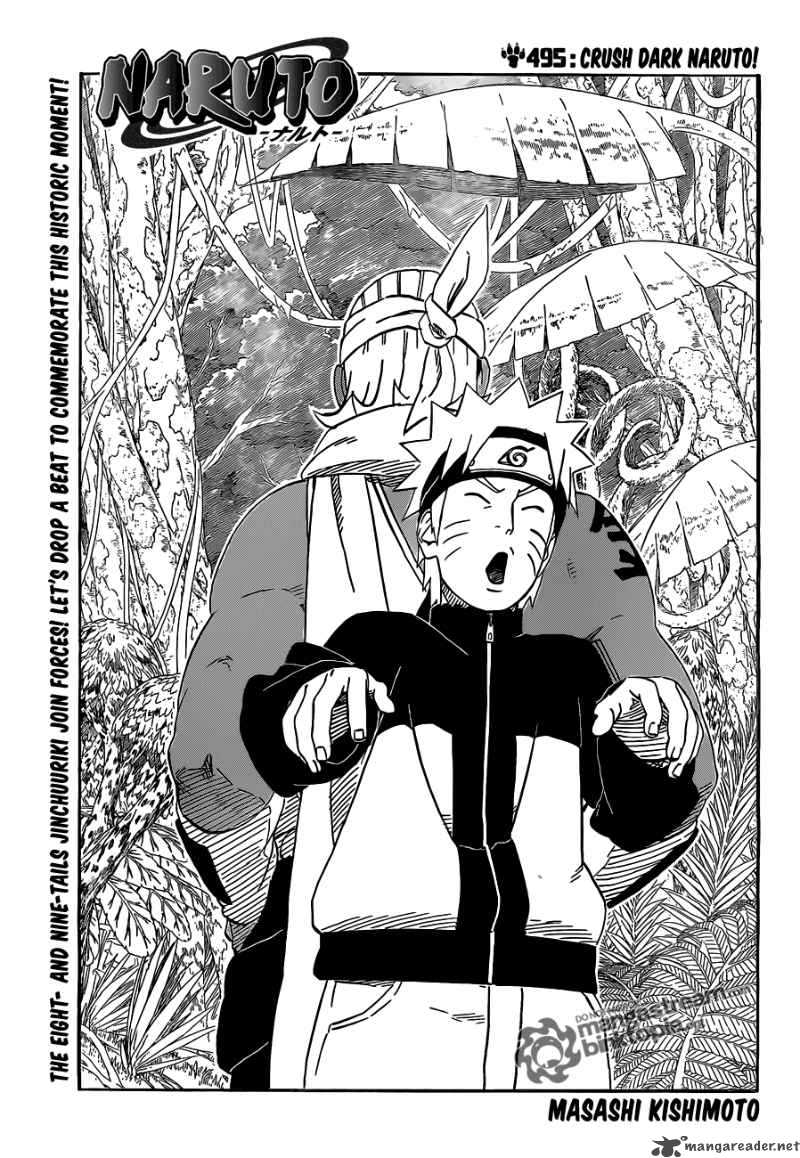 Naruto 495 1