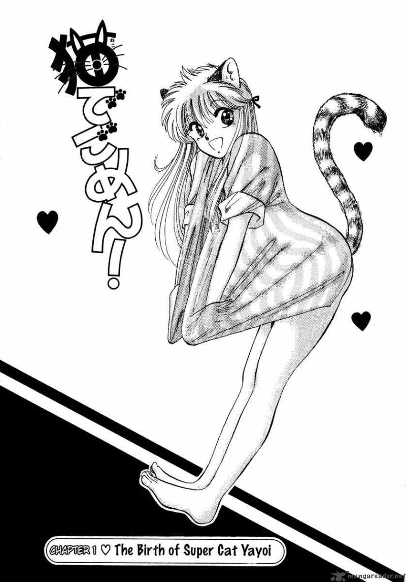 Neko De Gomen 1 7