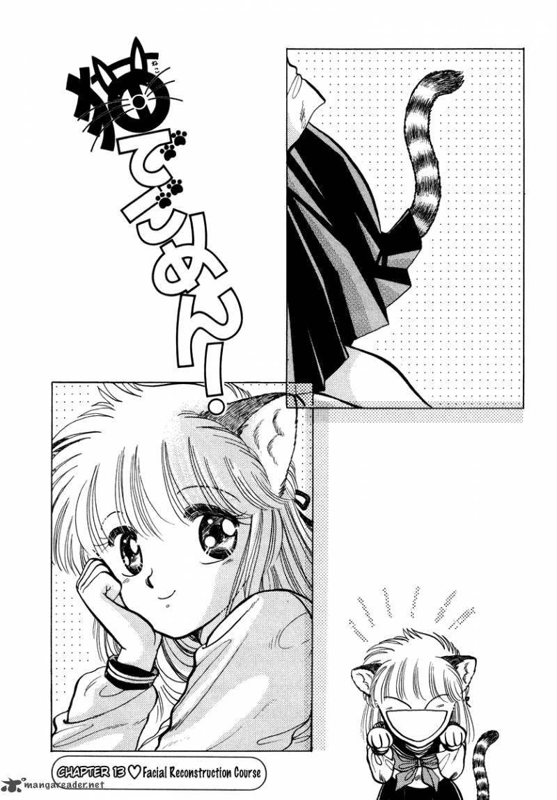 Neko De Gomen 13 2